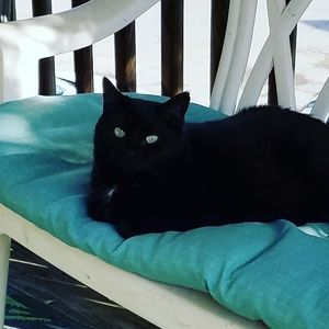 Meet your Posher, Joann